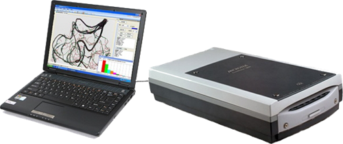 植物根系的功能與數(shù)據(jù)處理服務在生態(tài)研究中的應用