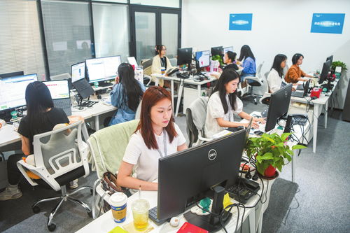 海口加速數(shù)據(jù)跨境業(yè)務發(fā)展，打造數(shù)字高地與軟件開發(fā)新引擎